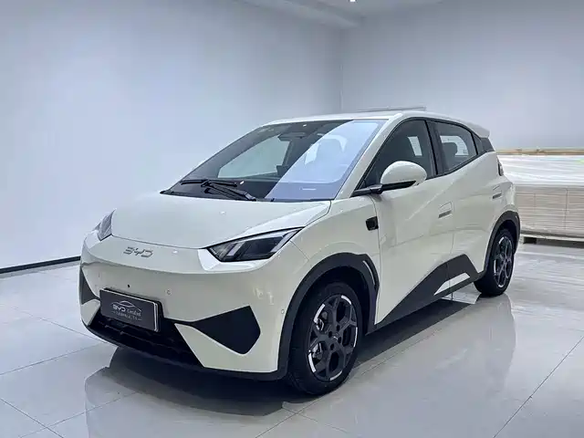 2025 BYD Seagull