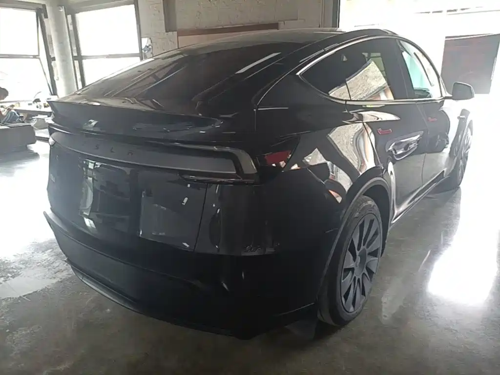 Tesla Model Y — миниатюра 7