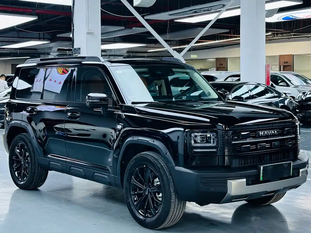 Haval Menglong New Energy — миниатюра 3