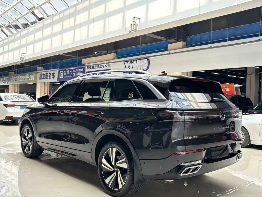 Volkswagen Tavendor — миниатюра 6