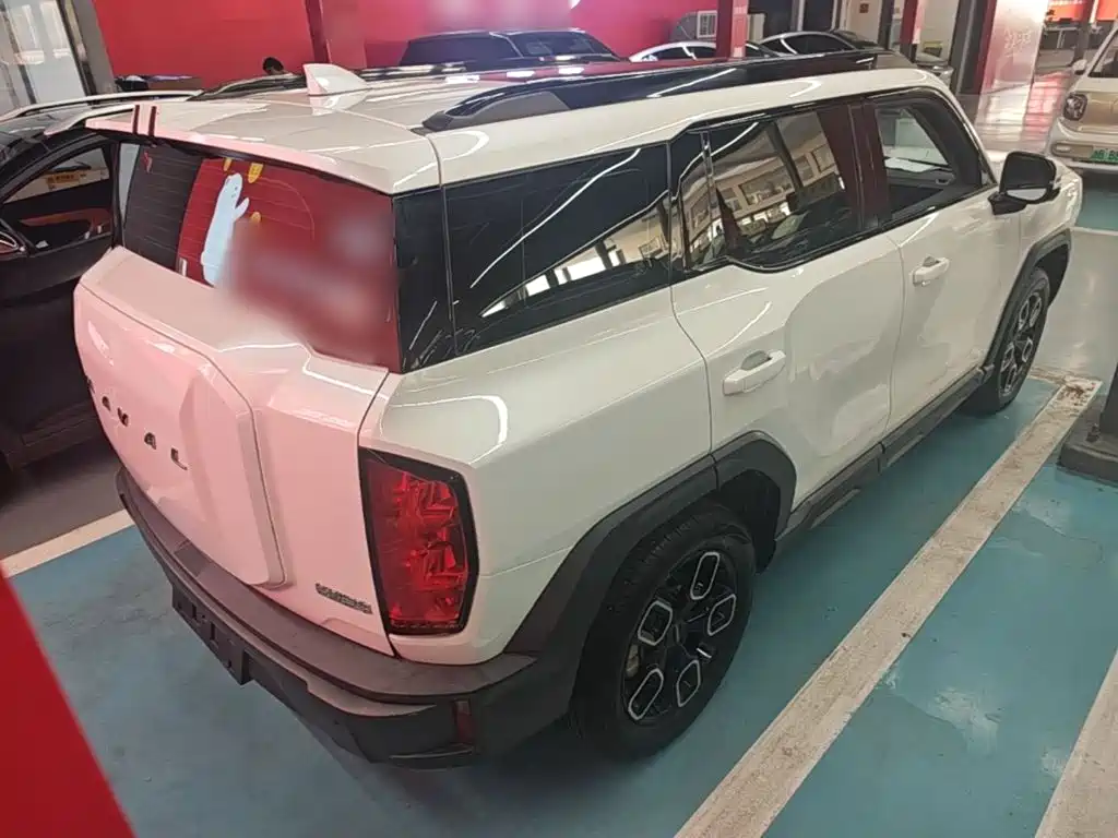 Haval Cool Dog — миниатюра 7