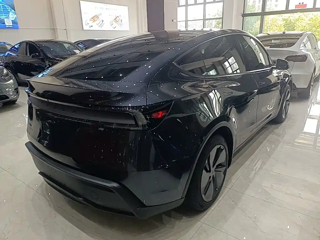 Tesla Model Y — миниатюра 7