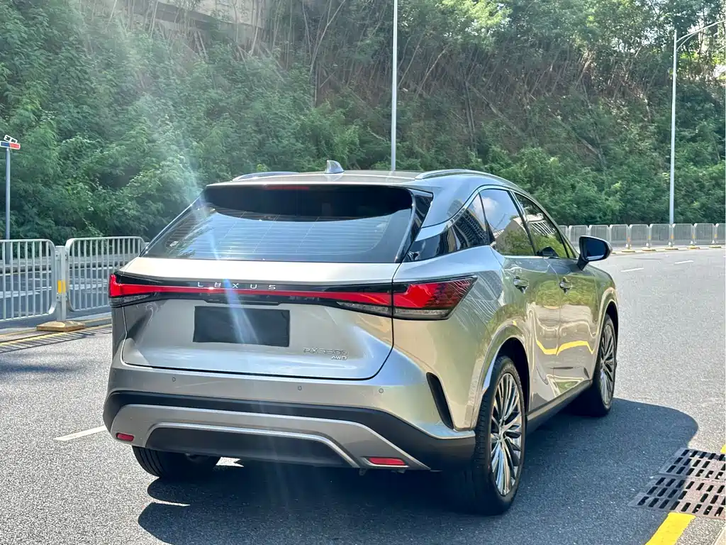 Lexus RX — фотографии объявления, Фото 18