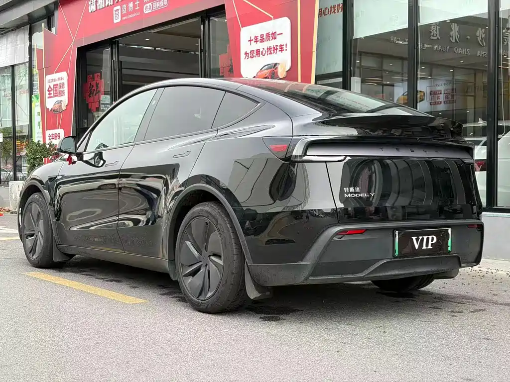 Tesla Model Y — миниатюра 3