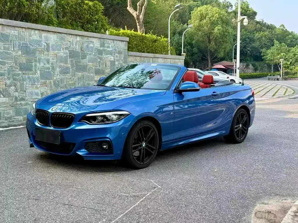 Купить BMW 2 Series (Import)