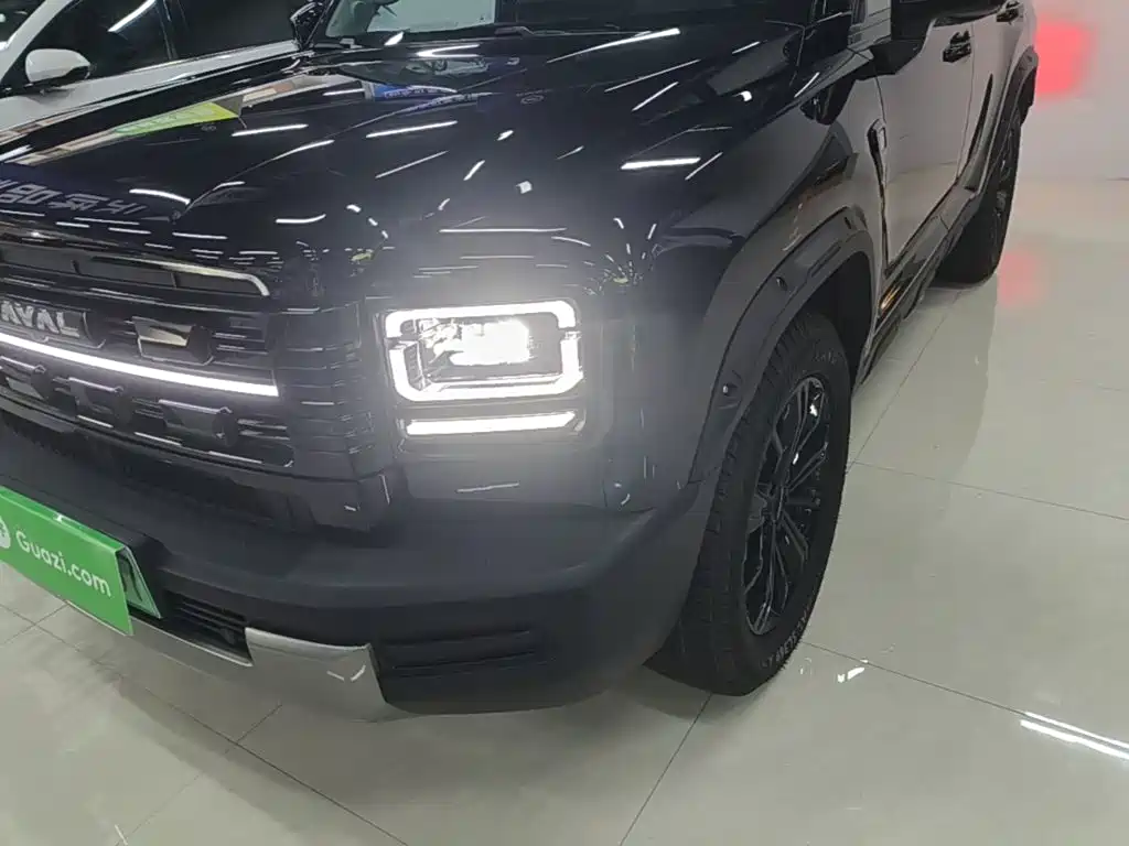 Haval Menglong New Energy — миниатюра 24