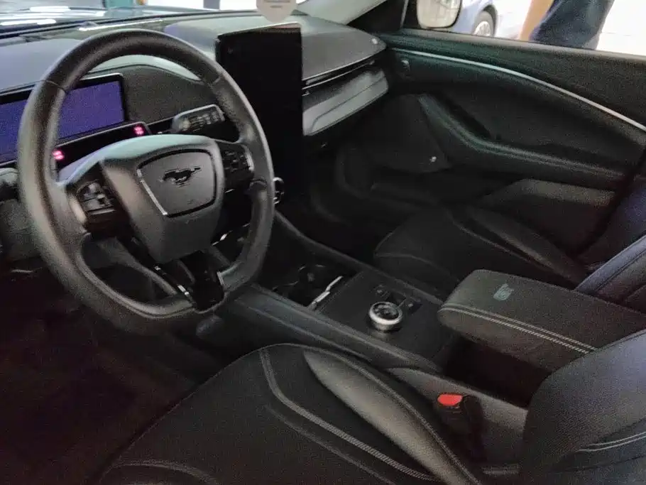 Ford Mustang Mach-E — миниатюра 12