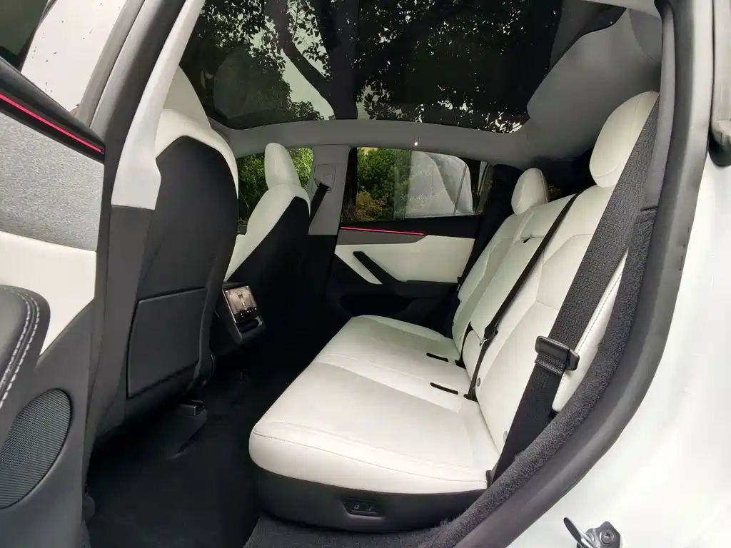 Tesla Model Y — миниатюра 7