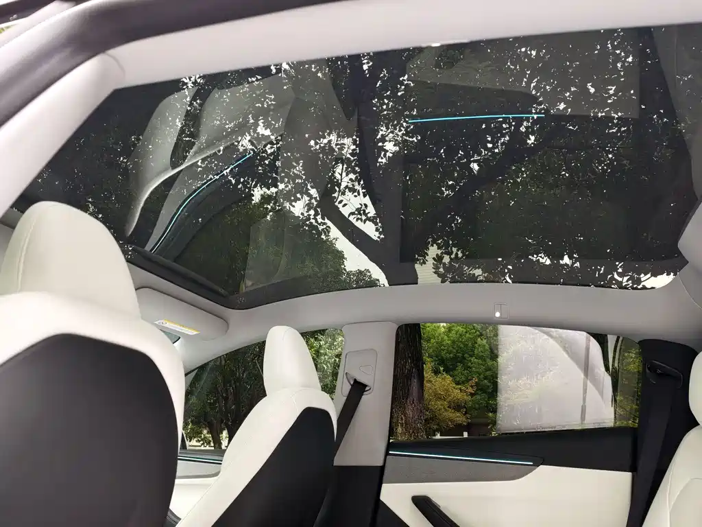 Tesla Model Y — миниатюра 11
