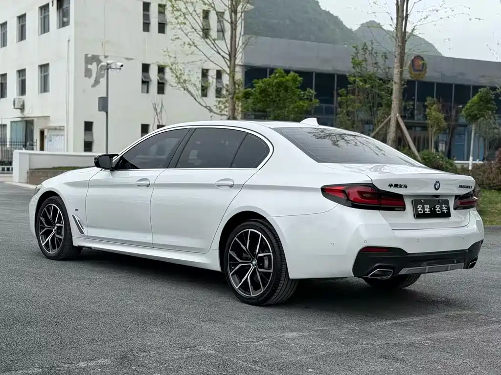 BMW 5 Series 5 2022 530Li Premium M Sport