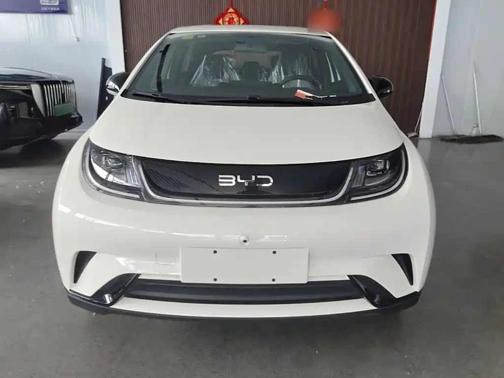 BYD Dolphin 2025 420km Freedom
