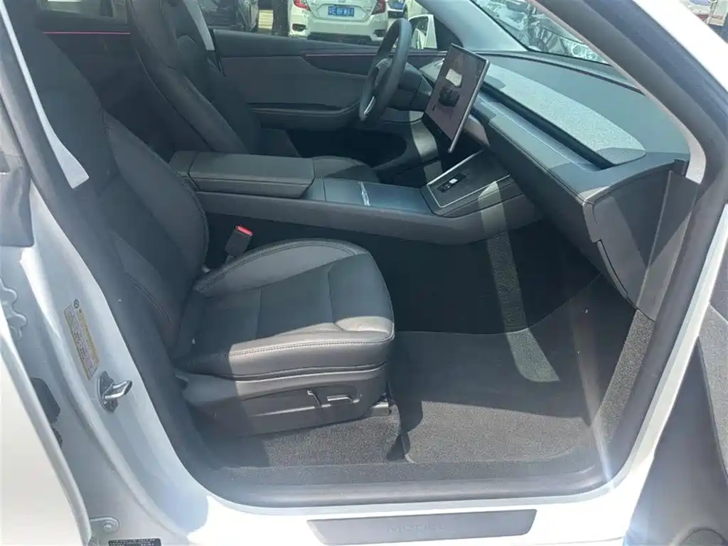 Tesla Model Y — миниатюра 13