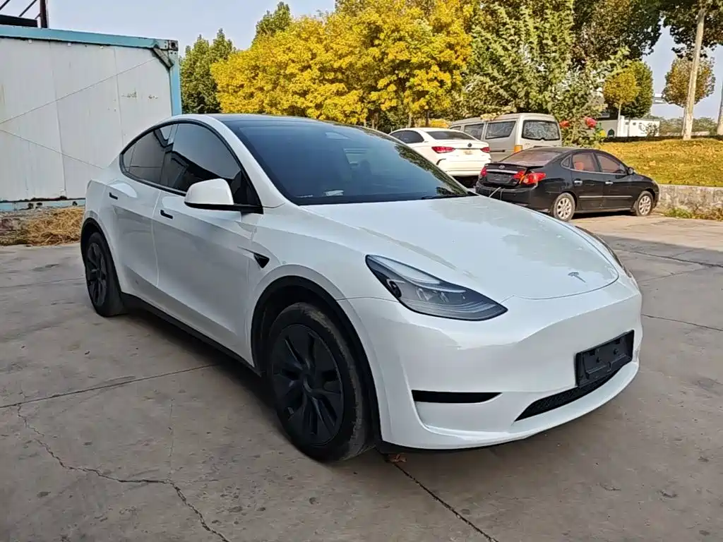 Tesla Model Y — миниатюра 4