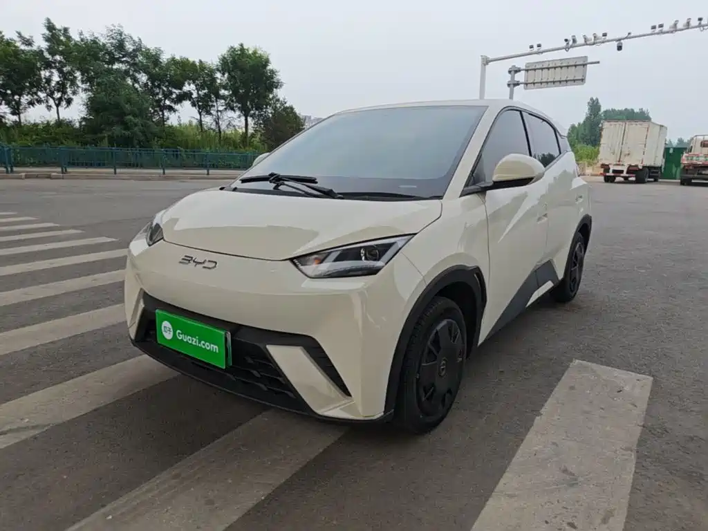 BYD Seagull 2024 305km