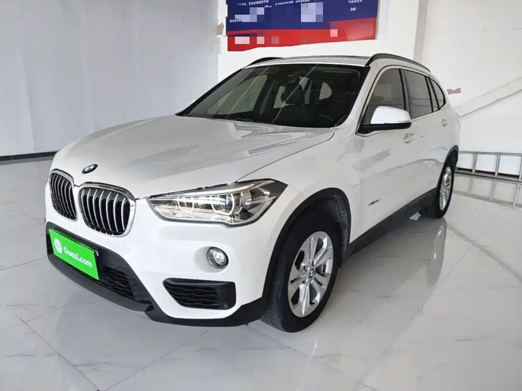 BMW X1 — миниатюра 2