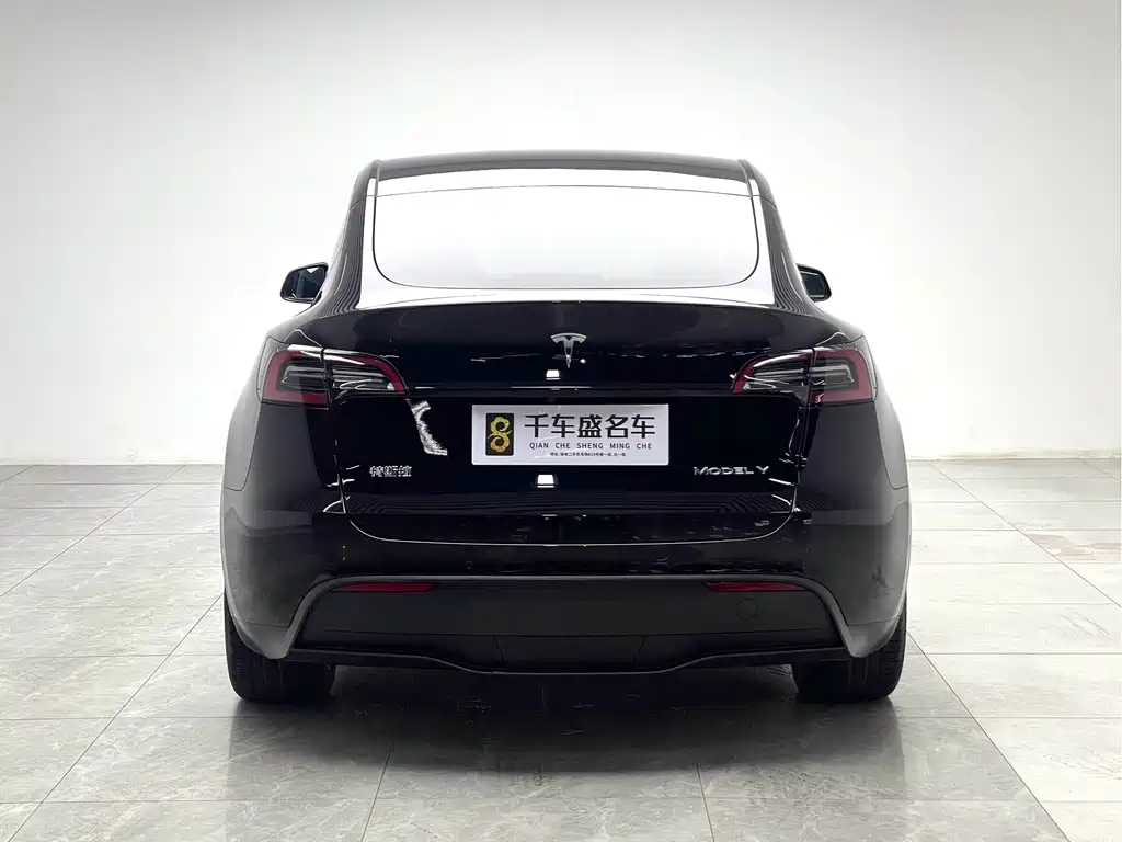 Tesla Model Y — миниатюра 5