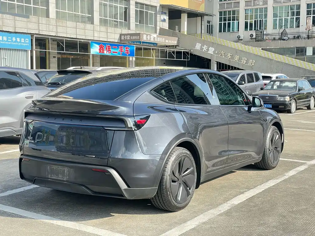 Tesla Model Y — миниатюра 25