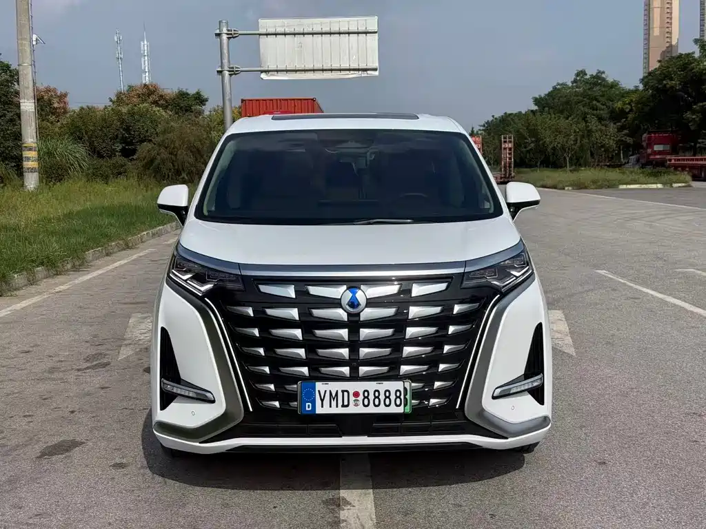 Denza Denza D9 — миниатюра 2