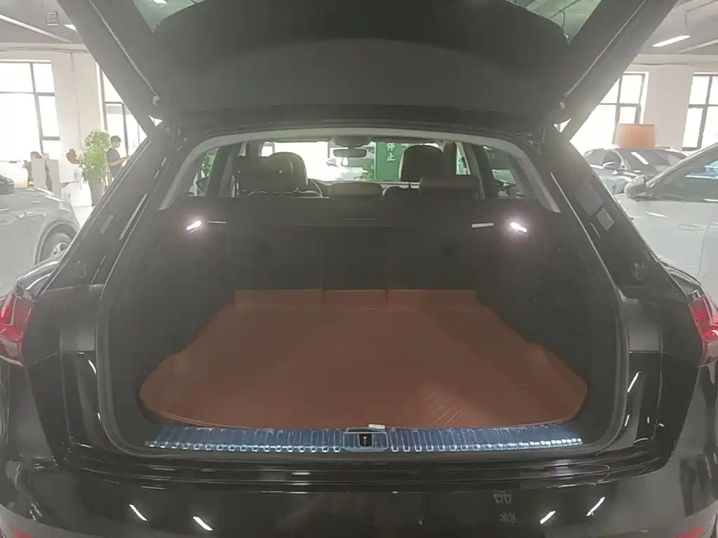 Audi e-tron (Import) — миниатюра 19