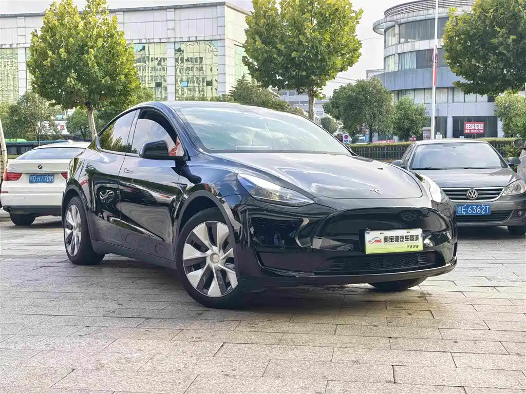 Tesla Model Y — миниатюра 3