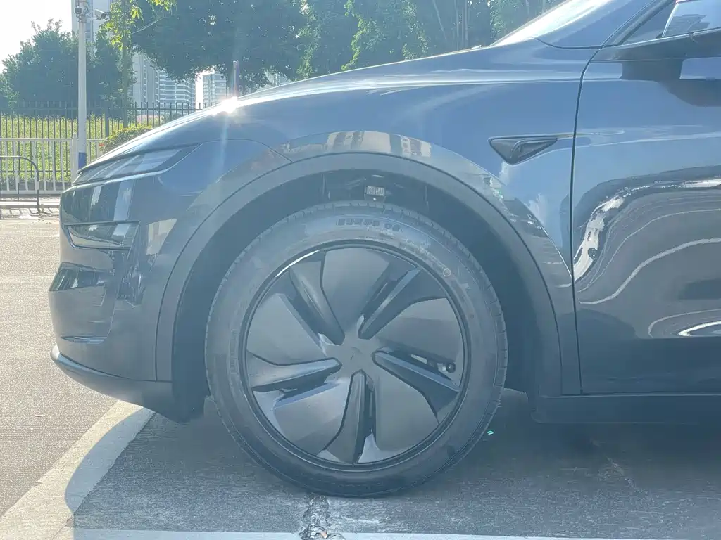 Tesla Model Y — миниатюра 5