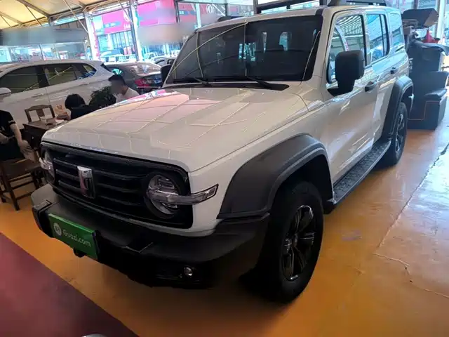 2022 TANK 300