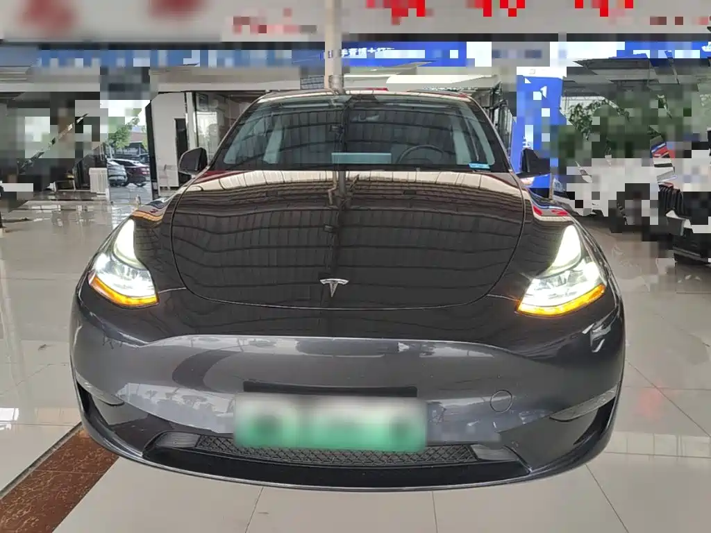 Tesla Model Y — миниатюра 3