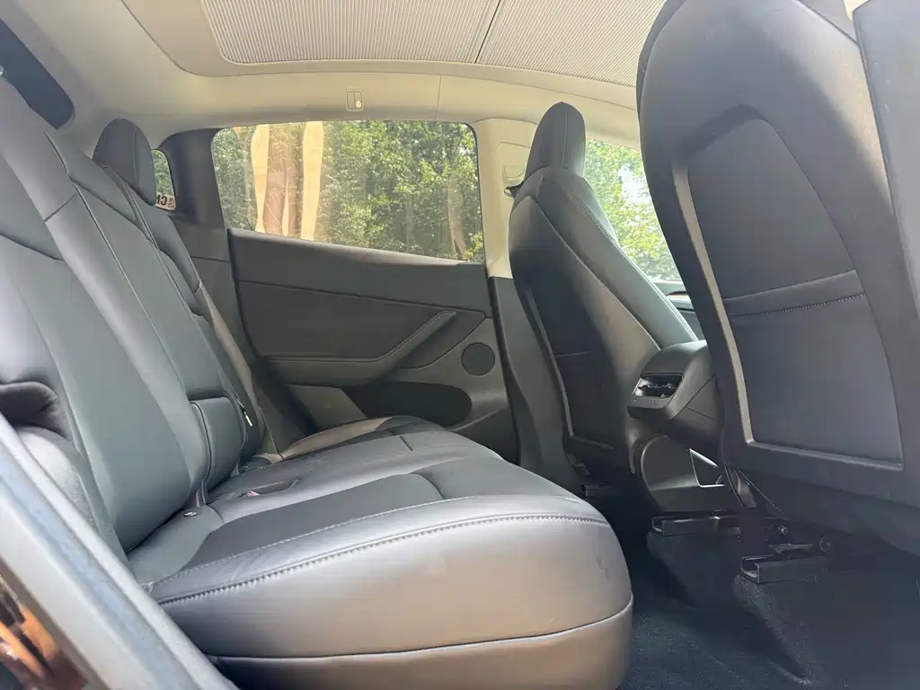 Tesla Model Y — миниатюра 13