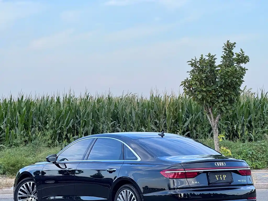 Audi A8 — миниатюра 9