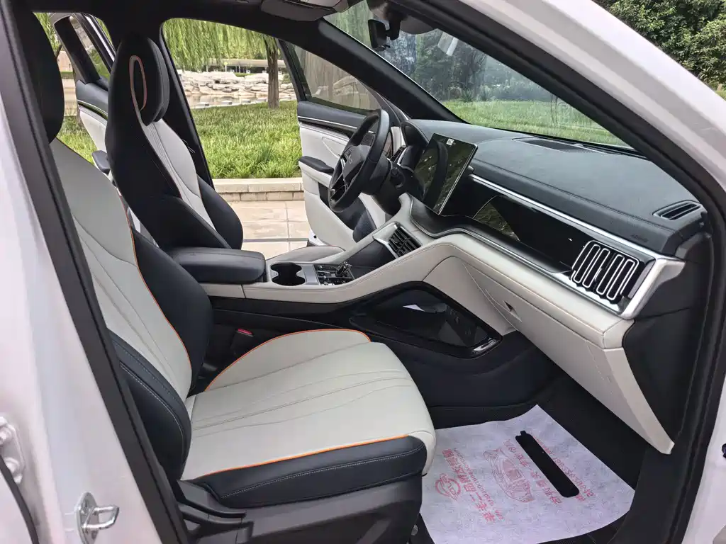 BYD PLUS New Energy — миниатюра 10