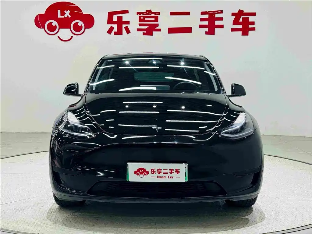 Tesla Model Y — миниатюра 8