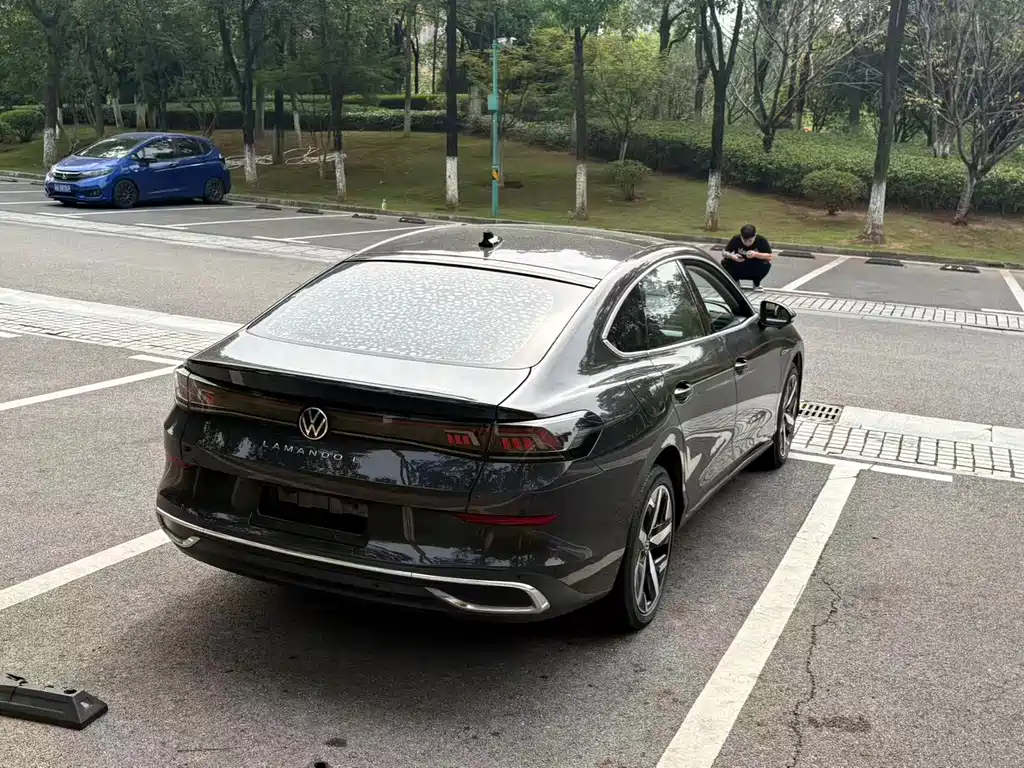 Volkswagen Lamando — миниатюра 11