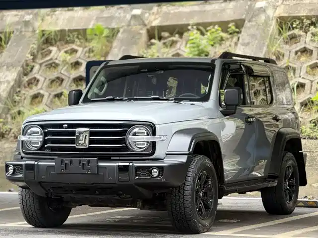 2021 TANK 300