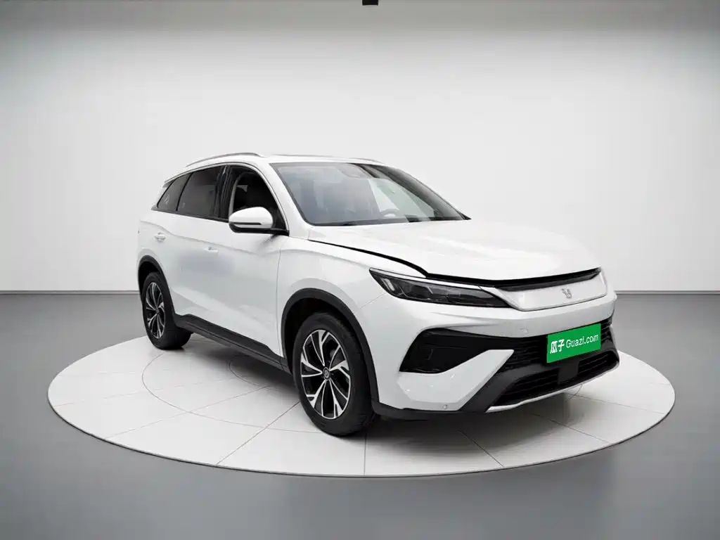 BYD Pro New Energy — миниатюра 25