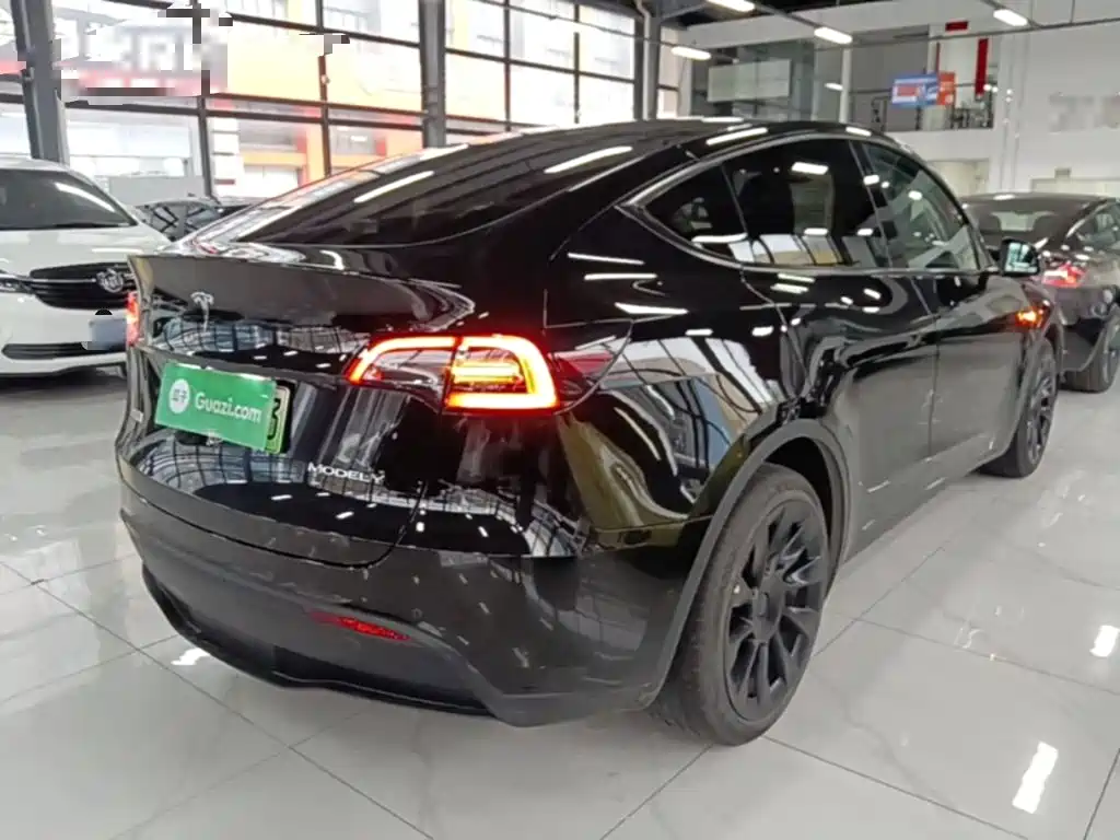 Tesla Model Y — миниатюра 7