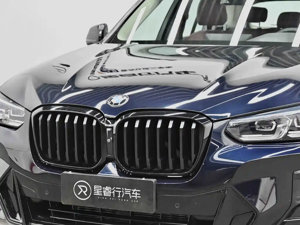 BMW X3 — миниатюра 28