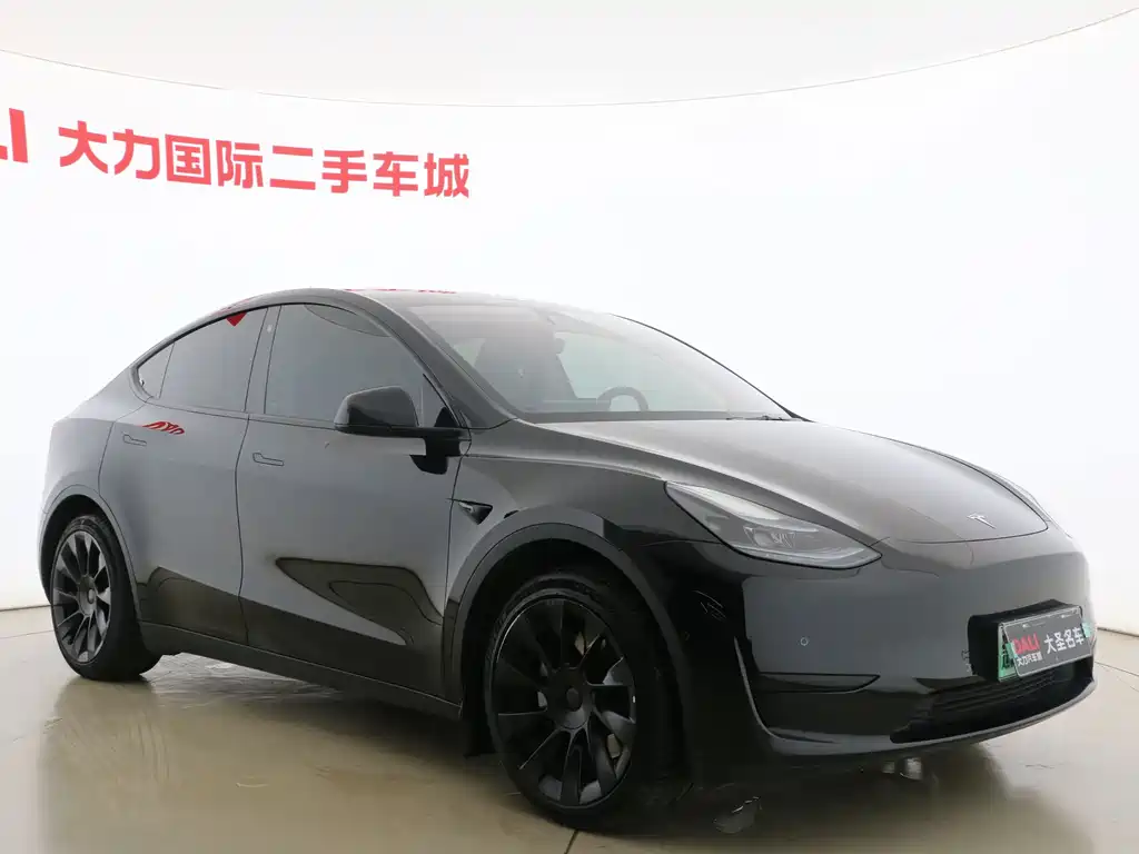 Tesla Model Y — миниатюра 3
