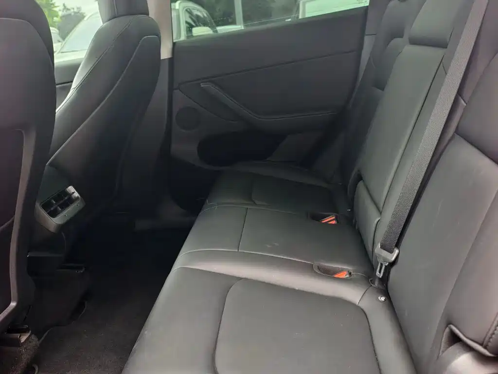 Tesla Model Y — миниатюра 7