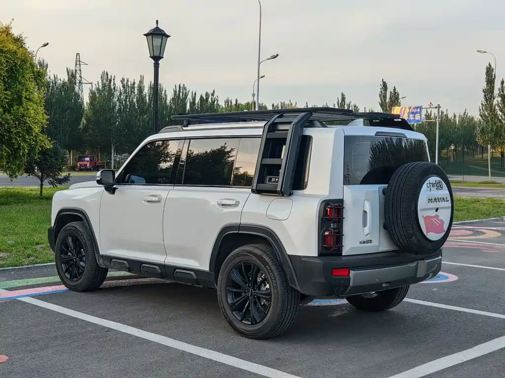 Haval Menglong New Energy — миниатюра 4