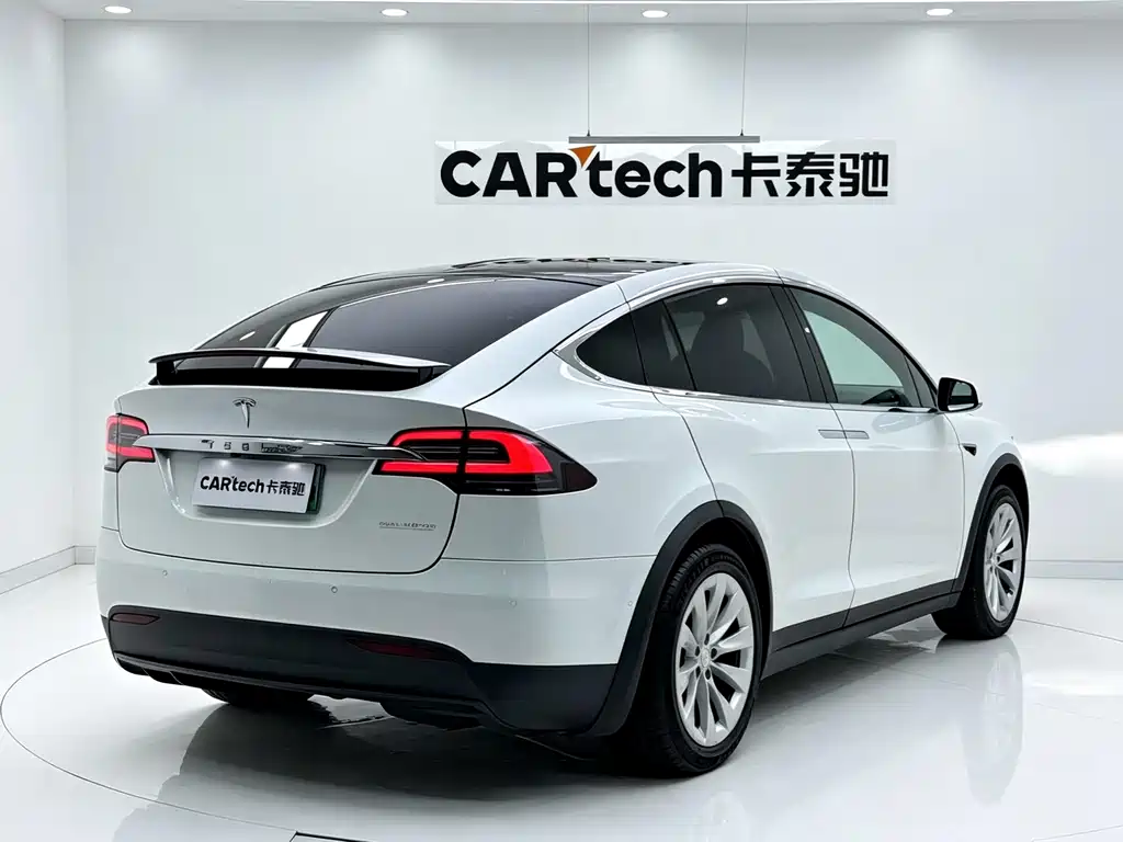 Tesla Model X — миниатюра 7