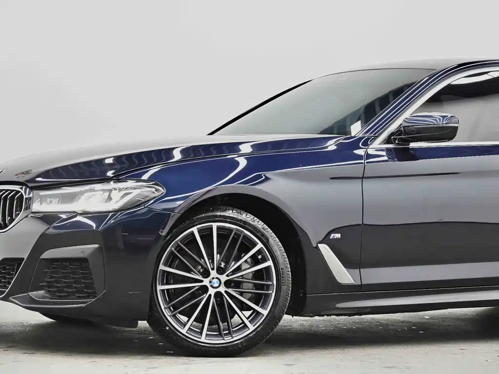 BMW 5 Series — миниатюра 31