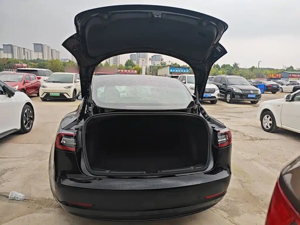 Tesla Model 3 — миниатюра 19