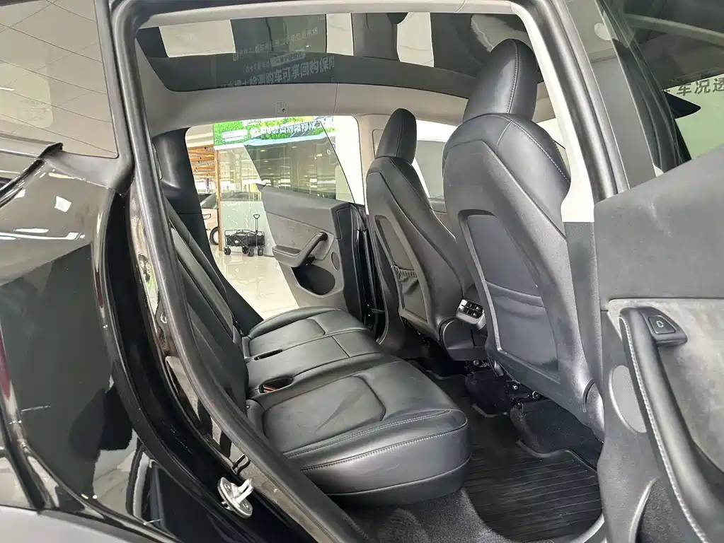 Tesla Model Y — миниатюра 11