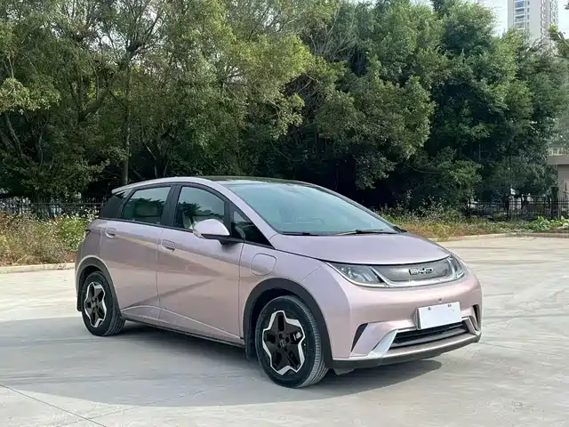 2022 BYD Dolphin