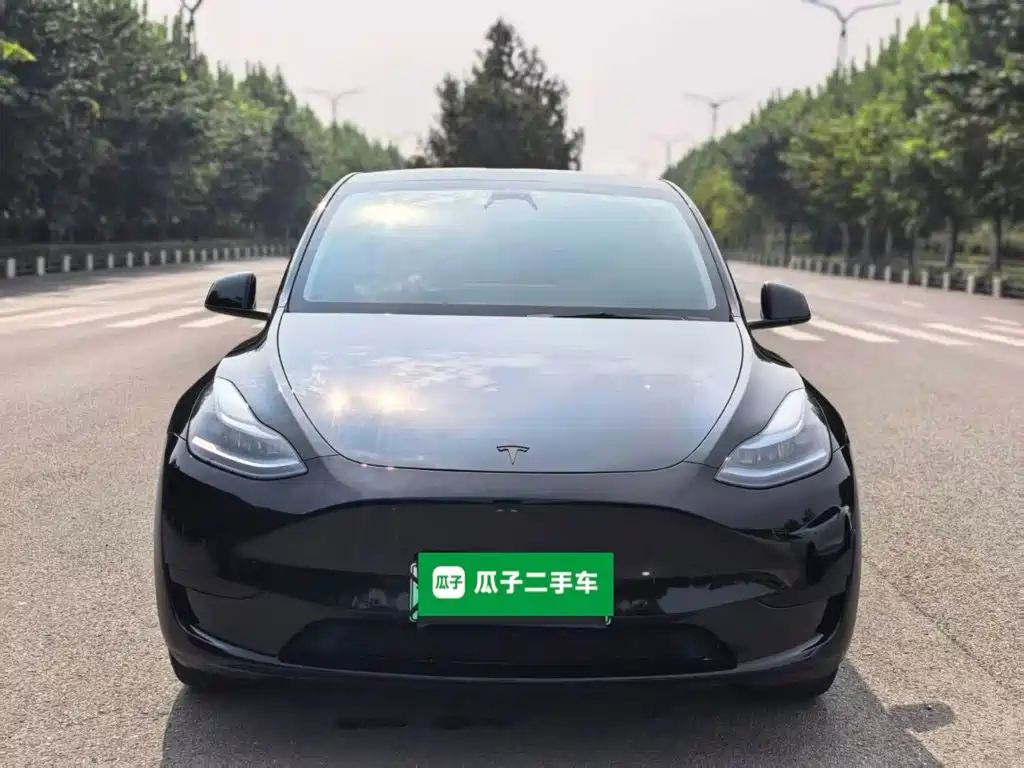 Tesla Model Y — миниатюра 3
