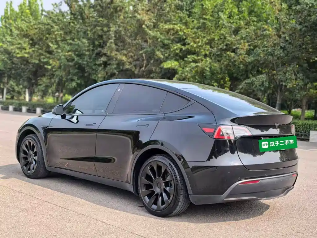 Tesla Model Y — миниатюра 5