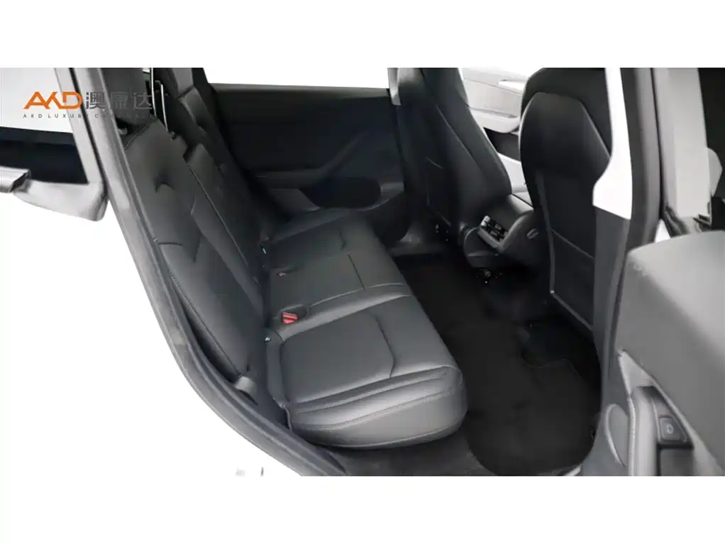 Tesla Model Y — миниатюра 8