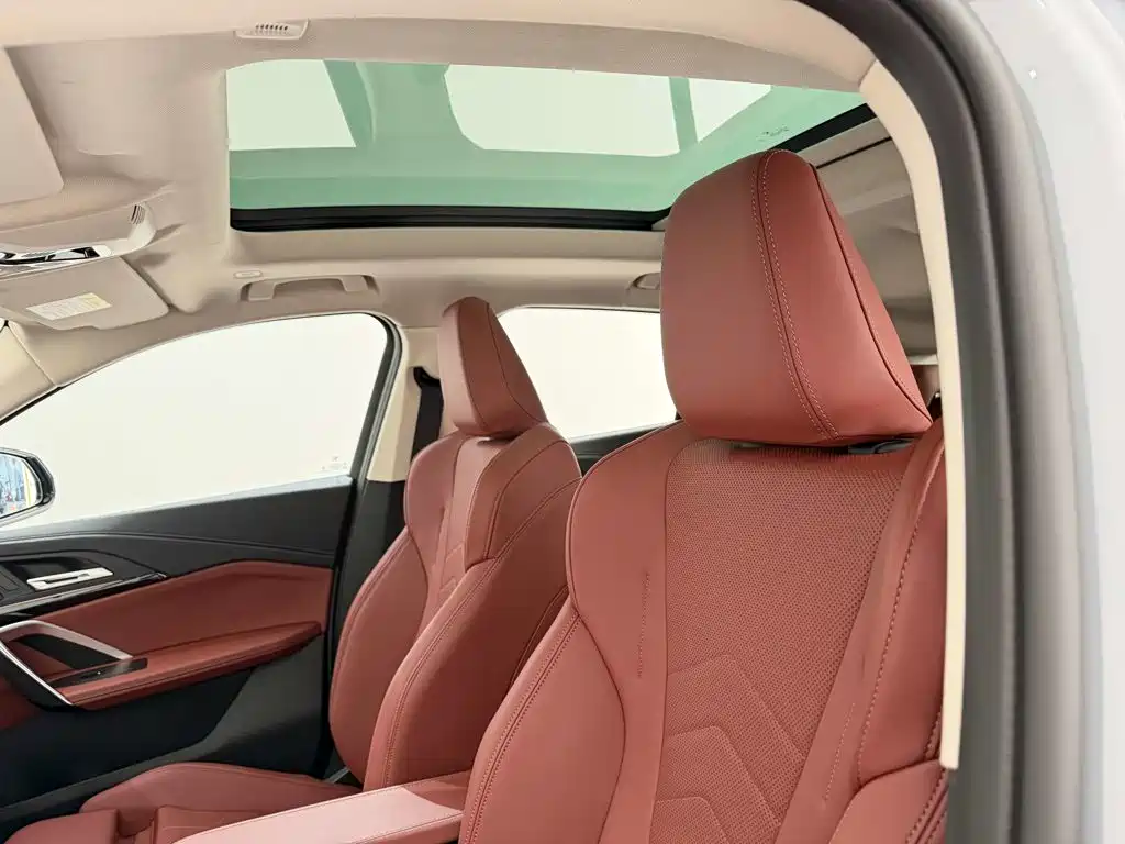 BMW X2 (Import) — миниатюра 26