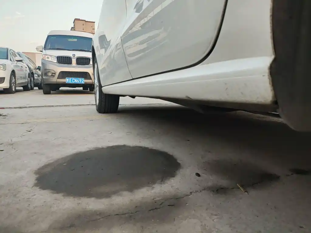 Volkswagen Polo — миниатюра 22