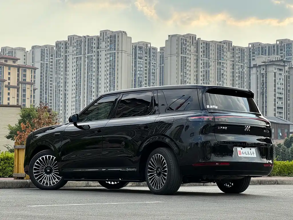 IM IM LS8 — миниатюра 13